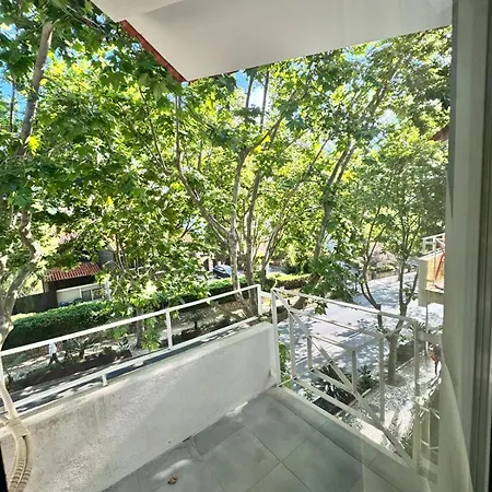 Mhouse Lease Walk To And Center *